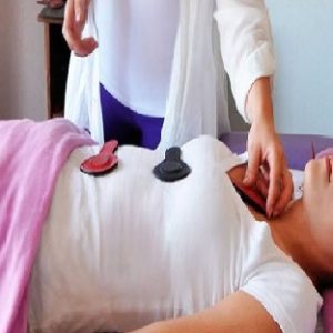 Curso Biomagnetismo