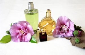 curso perfumes