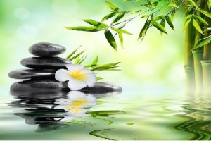 curso feng shui online